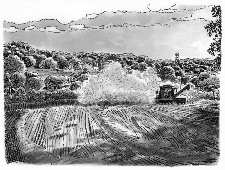 Combine Wash Doctored