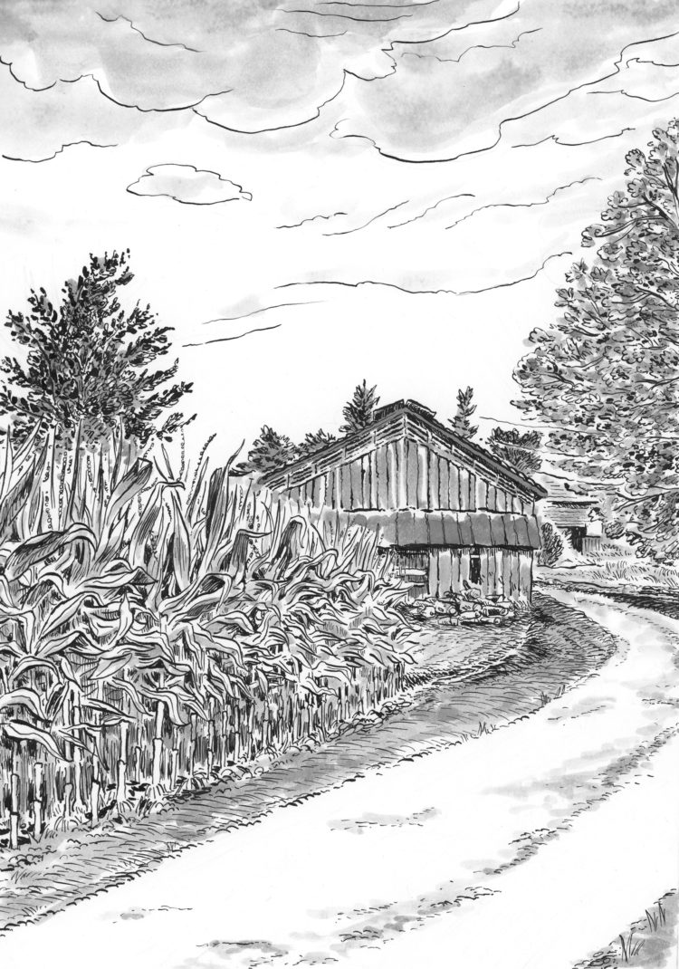 Images Of Sketch Corn Field Drawing