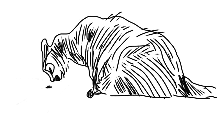 Headsploog7 Lg
