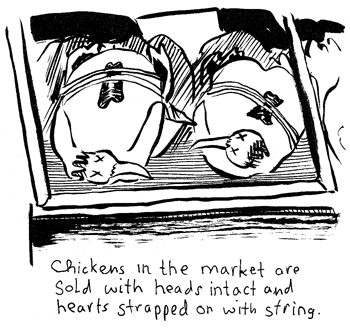 nate beaty draws dead chickens
