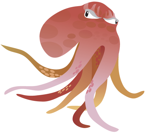 octopus octopus