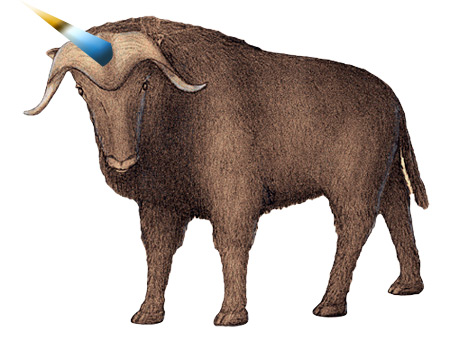 nate beaty misspells rainbow and ends up with a unicorn ox rainbox